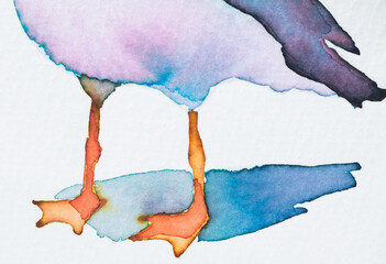 Colorful watercolor painting of a bird with detailed feet and shadows reflecting nature's beauty