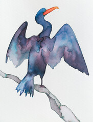 Vibrant watercolor painting of a majestic Phalacrocorax with striking colors and dynamic pose