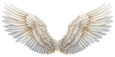 Majestic White Angel Wings Spread Wide on a Black Background Symbolizing Freedom and Spirituality