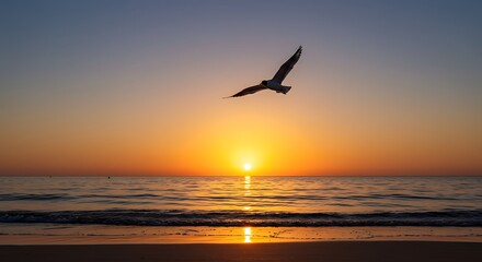 Seagull soaring during sunset over calm ocean