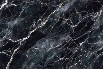 Obraz premium Elegant black marble texture with white veins for seamless design