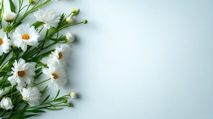 A beautiful arrangement of delicate white flowers on a soft background exudes freshness and tranquility, ideal for floral designs, spring themes, or serene compositions.