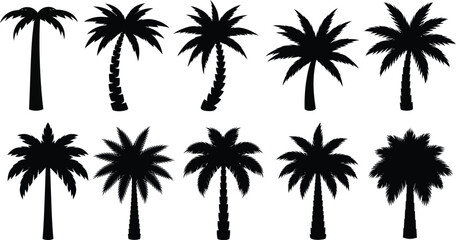 Palm Tree Silhouette Set – Black and White Tropical Icons Featuring Ten Unique Tree Shapes for Summer Design, Travel Branding, or Landscaping Illustrations