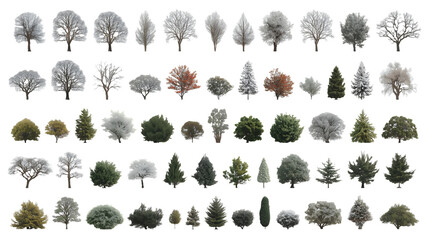 Seasonal Trees & Bushes Assortment No Background