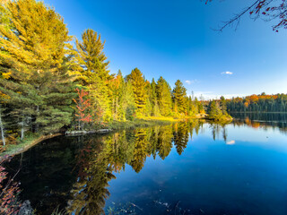 Fototapeta premium Fall Colours