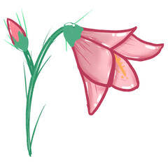 Red flowers. Simple abstract flowers. Bright flower branches. Cartoon flower drawing. Card decoration elements.