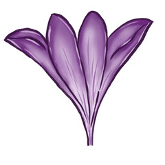 Purple flowers. Flower heads. Simple abstract flowers. Bright flowers. Cartoon flower drawings. Card decoration elements.