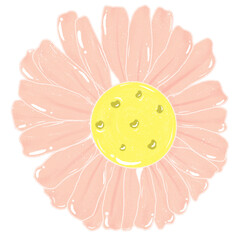 Pastel orange flowers. Simple abstract flowers. Bright flower heads. Cartoon flower drawing. Decorative card elements.
