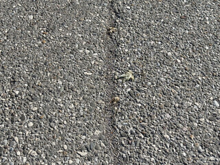 Close-up of textured asphalt road surface with small green leaf detail