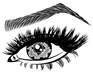 Illustration with woman's eye, eyelashes and eyebrow. Makeup Look. Tattoo design. Logo for brow bar or lash salon.