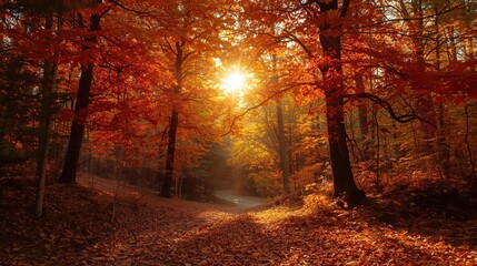 Fototapeta premium Autumn Forest with Colorful Trees and Stream