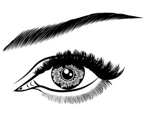Illustration with woman's eye, eyelashes and eyebrow. Makeup Look. Tattoo design. Logo for brow bar or lash salon.