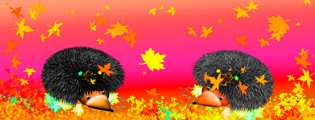 Two funny hedgehogs