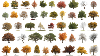 Seasonal Foliage Isolation - High Variety No Background