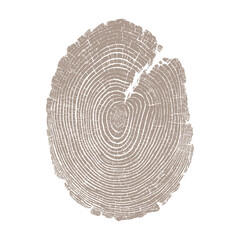 Vector illustration of tree trunk cross section with detailed growth rings and natural cracks, organic wood texture design in vintage style for forestry, nature, ecology and background concepts © Alona