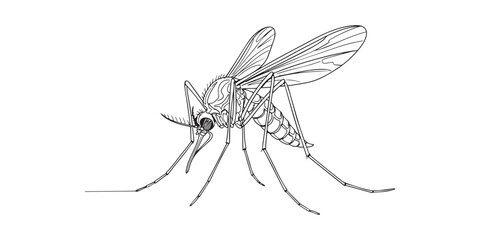 Sketch art minimalist line drawing of a mosquito. Perfect for biology, entomology, insects, health, nature, pest control, and disease transmission concepts.