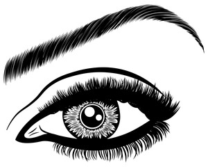 Illustration with woman's eye, eyelashes and eyebrow. Makeup Look. Tattoo design. Logo for brow bar or lash salon.