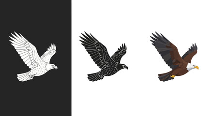 Fototapeta premium Stylized Flying Eagle Vector Icon Set with Color Monochrome and Grunge Styles