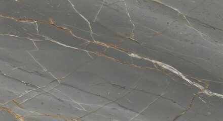 Premium Gray Marble Stone Veined Pattern