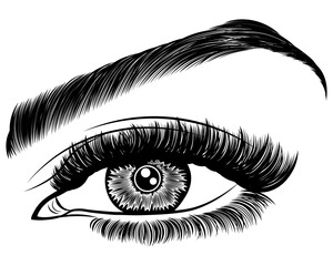 Illustration with woman's eye, eyelashes and eyebrow. Makeup Look. Tattoo design. Logo for brow bar or lash salon.