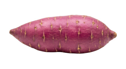 Isolated sweet potato, purple-skinned yam, root vegetable used as ingredient in healthy foods