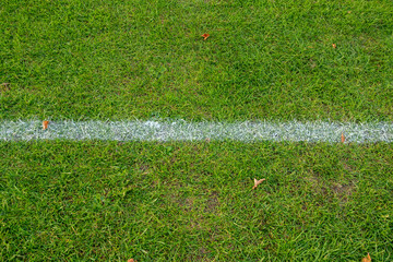 Close-up of a white line marking on green grass, perfect for sports fields.