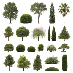Diverse Green Trees & Bushes Cutout