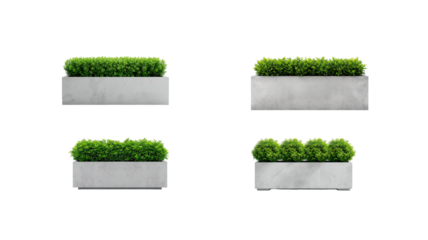 Concrete Fence with Plant on transparent background