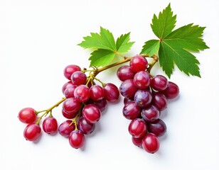 Fototapeta premium Fresh Red Grapes with Green Leaves Isolated on White Background
