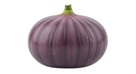 Isolated ripe fig fruit with green stem, fresh and nutritious food, exotic fruit item