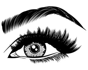 Illustration with woman's eye, eyelashes and eyebrow. Makeup Look. Tattoo design. Logo for brow bar or lash salon.