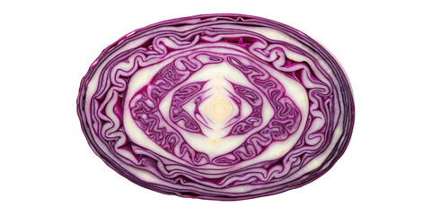 Macro Close-Up of Sliced Red Cabbage Showing Abstract Fractal Patterns
Mandala-Like Cross Section of Red Cabbage with Vivid Purple Veins