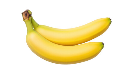 Isolated group of two yellow bananas in bunch with stem, tropical fruit, nutrition source