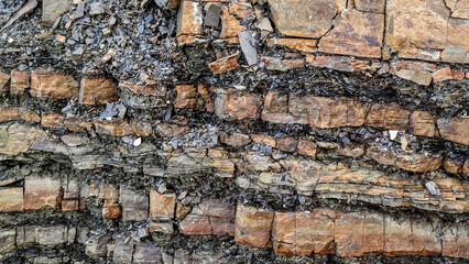 Rocky wall as natural background.