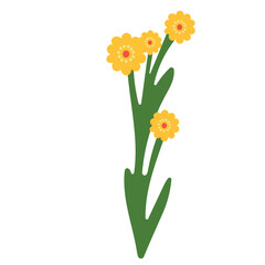 flowers with green stems flat cartoon style