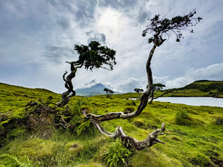 Le pico et le lagoa capitao