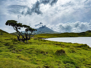 Le pico et le lagoa capitao