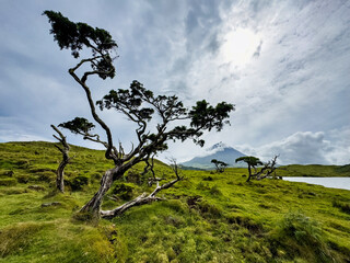 Le pico et le lagoa capitao