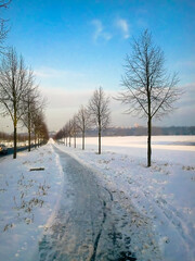 Fototapety na wymiar - Fototapeta24.pl