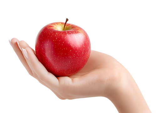 Red apple in female hand isolated on transparent background.