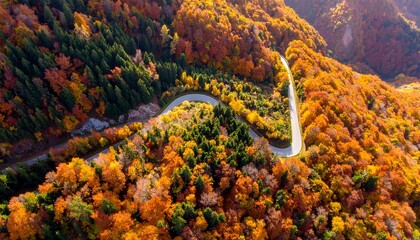 Winding road through autumn forest