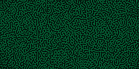 Abstract truing organic wallpaper Turing reaction diffusion monochrome seamless pattern .Monochrome Turing reaction background .Natural seamless line pattern. Linear design with biological shapes