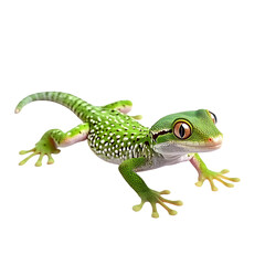 Fototapeta premium A vibrant green gecko with white spots and large eyes, isolated on a transparent background, showcasing its intricate skin texture and delicate limbs