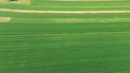 Tilled farmland with trees and houses in distance