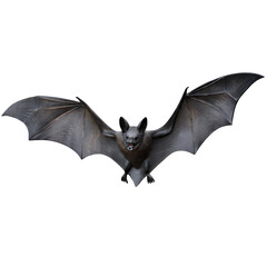 Dramatic Studio Lit Image of a Dark Gray Bat with Wings Spreading on Transparent Background