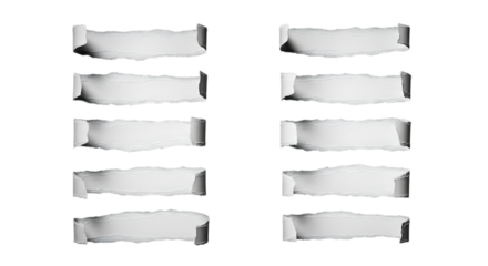 Illustration of collection of torn paper strips with curled edges, isolated on transparent background