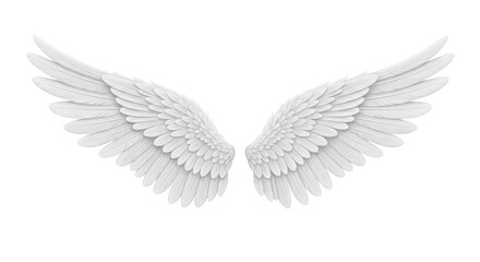 Obraz premium Isolated angel wings, digital fantasy, artistic creation, spirituality, angelic form