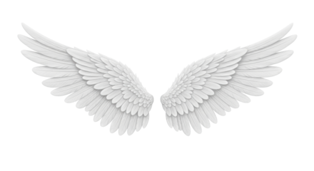 Isolated angel wings, digital fantasy, artistic creation, spirituality, angelic form