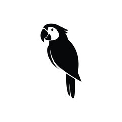 Stylized black silhouette of a parrot bird isolated on white background silhouette