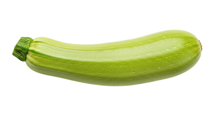 Isolated light green zucchini, raw summer squash, vegetable source of Vitamin C, healthy diet